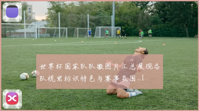 世界杯国家队队徽图片汇总展现各队视觉标识特色与赛事氛围_1