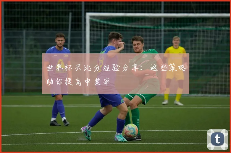世界杯买比分经验分享：这些策略助你提高中奖率