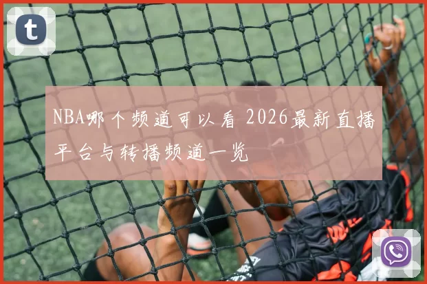 NBA哪个频道可以看 2026最新直播平台与转播频道一览