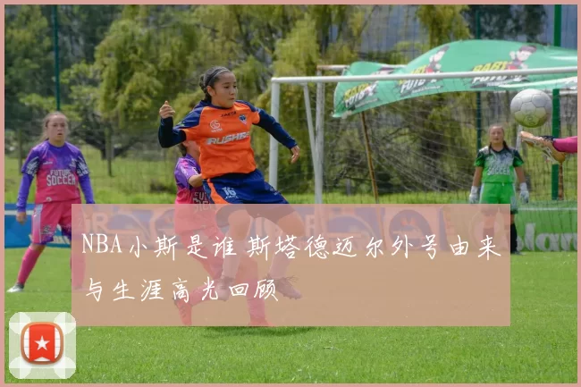 NBA小斯是谁 斯塔德迈尔外号由来与生涯高光回顾