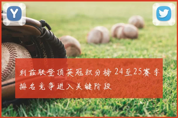 利兹联登顶英冠积分榜 24至25赛季排名竞争进入关键阶段