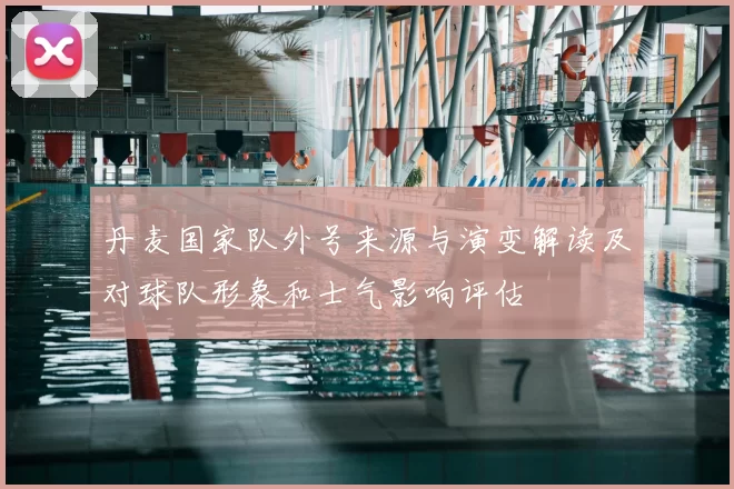 丹麦国家队外号来源与演变解读及对球队形象和士气影响评估