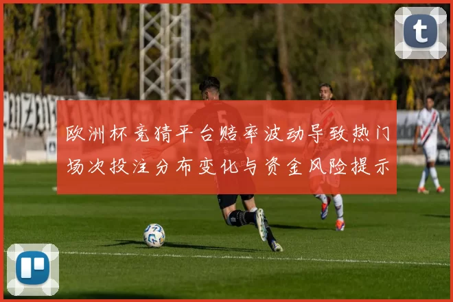 欧洲杯竞猜平台赔率波动导致热门场次投注分布变化与资金风险提示