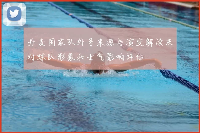 丹麦国家队外号来源与演变解读及对球队形象和士气影响评估